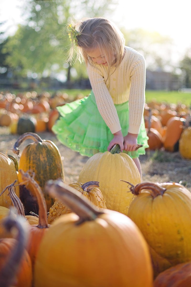Harvest Festival